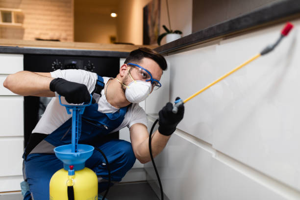 Reliable Cottonwood Heights, UT Pest Control Solutions