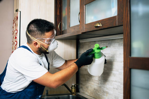 Best Cockroach Control Services  in Cottonwood Heights, UT